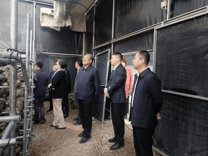 河南省食用菌良种联合攻关项目成果展示观摩会 良种培养引领产业升级