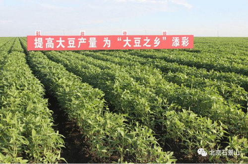 合作之花在京绽放 称多毛毯、竹山绿松石及支援协作地农特产品亮相服贸会，良种培养引关注