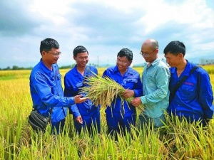 聚焦国内良种培养 科技助力现代农业新突破